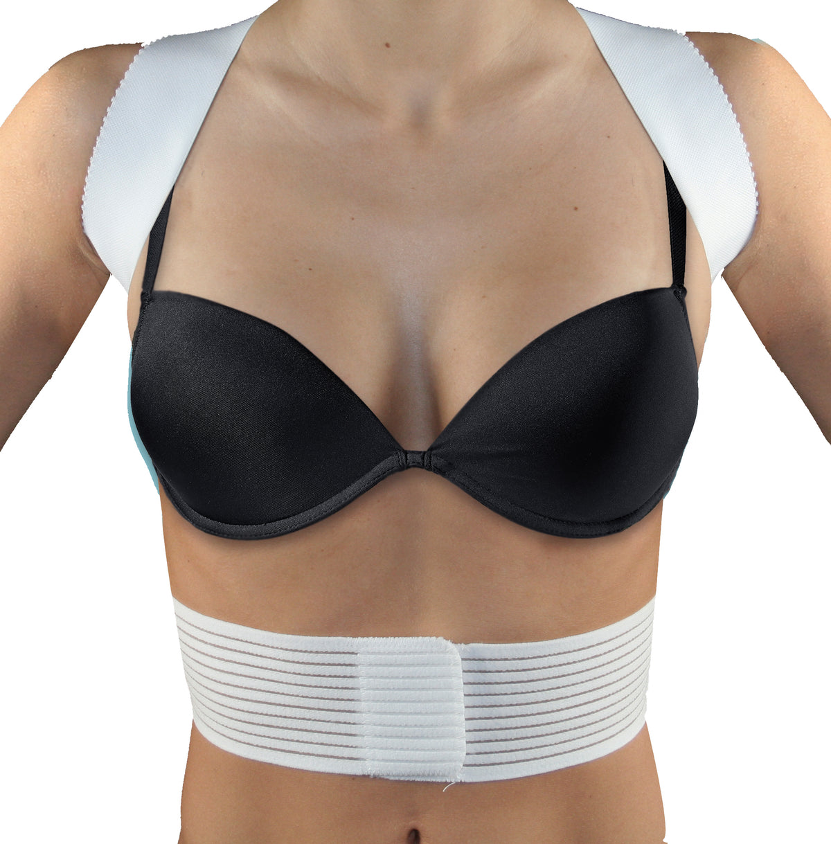 Geradehalter | Standard
